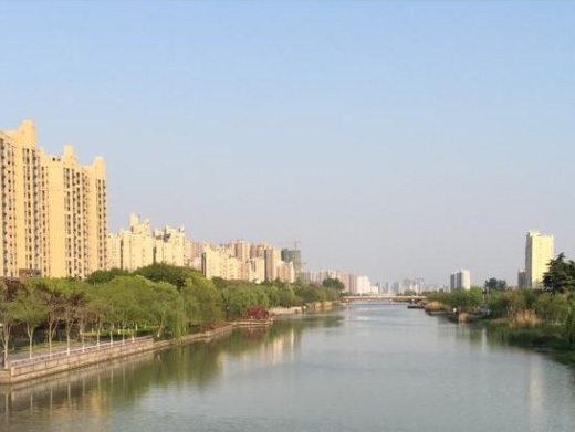 大运河堤防绿化养护